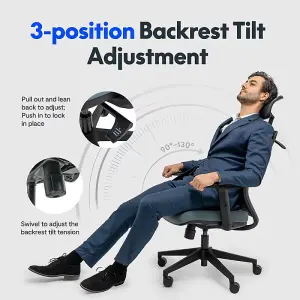 FlexiSpot Ergonomic Resilient Swivel Office Chair-Black