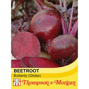 Beetroot Boltardy 1 Seed Packet (300 Seeds)