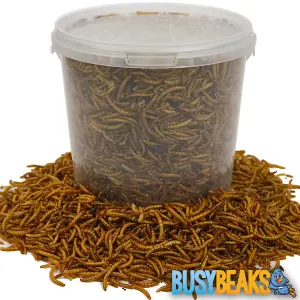 5L BusyBeaks Dried Mealworms - High Quality Wild Bird Food Treats For Garden Birds