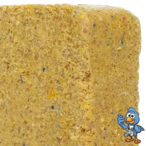 10 x BusyBeaks Worm & Insect Suet Fat Blocks - Premium Grade High Protein Bird Food For Wild Birds