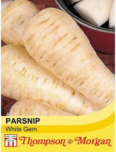 Parsnip White Gem 1 Seed Packet (300 Seeds)