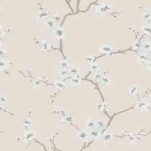 Fresco Apple Blossom Floral Natural Wallpaper