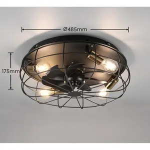 Calista 48cm Ceiling Fan with Light Kit Black