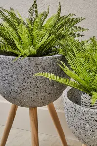 Fiori Boston Fern Succulent Artificial Plant Foliage