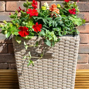 Rowlinson Rattan Square Planter 2 Pack - Natural