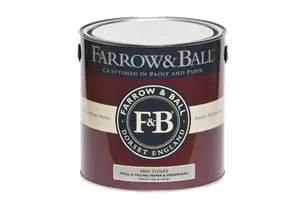 Farrow & Ball Mid tones Wall & ceiling Primer & undercoat, 2.5L