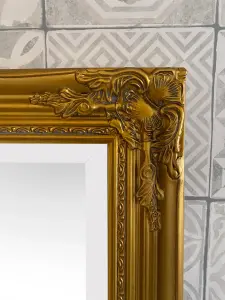 Antique Gold Tall Ornate Dressing Wall Mirror with Bevelled Glass