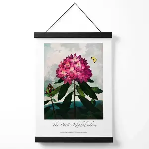 Vintage Floral Exhibition -  Rhododendron Flower Medium Poster with Black Hanger