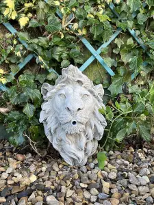 Lion Head Fountain Wall Plaque