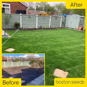 Boston Seeds BS Economy Grass Seed (5 x 20kg)