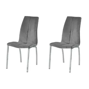 Knudsen Velvet Upholstered Side Chair (Set of 2) Grey