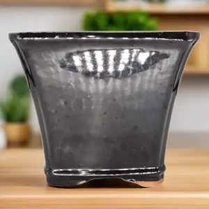 18cm Glazed Cascade Bonsai Pot - Square - 18cm x 18cm x 16cm - Black