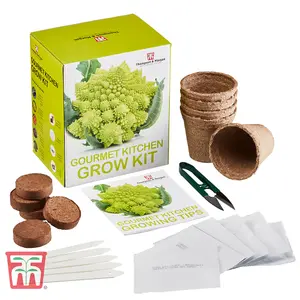 Seed Growing Kit - Gourmet Kitchen Vegetables