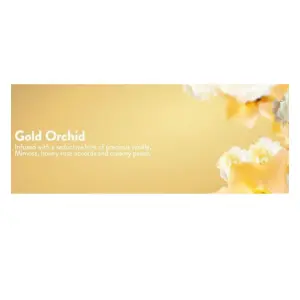 Lenor Fabric Conditioner Indulge Wellbeing Collection Gold Orchid 26W 858ML