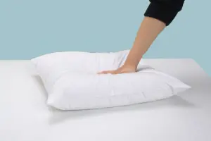 Duck Feather Cushion Inner Pad Insert