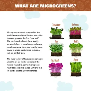 Grow Your Own Microgreens Kit  Sprouting Seeds Beginners Gardening Gift Set   Harvest in up to 2 Weeks. Seeds Included (Mini Kit)