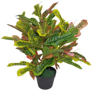 65cm Artificial Codiaeum Multicoloured House Plant