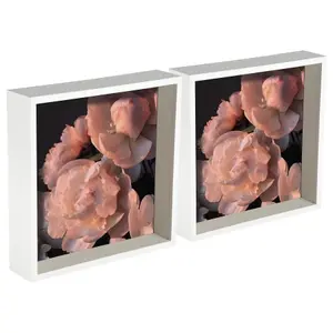 Nicola Spring - 3D Deep Box Photo Frames - 10 x 10" - Pack of 2