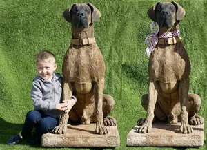 Pair of Life-size Great Dane Statue