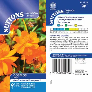 Cosmos Tango 1 Seed Packet (30 Seeds)