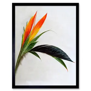 Tropical Plant Bird Of Paradise Flower - Single Picture Frame Print