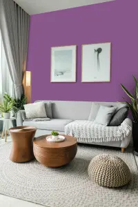 Leyland Trade Vinyl Soft Sheen Walls & Ceilings Emulsion Paint Signal Violet (RAL 4008) - 2.5L