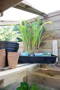 Victorian Tall Wall Greenhouse with Auto Vent