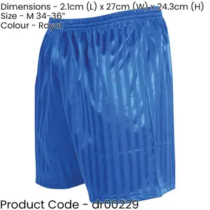 M - ROYAL BLUE Adult Sports Continental Stripe Training Shorts Bottoms Football