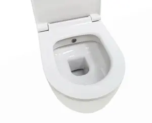 Top Ceramics White Round Wall Hung Rimless Combined Bidet Toilet with Soft Close Seat and 1.12m Cistern Frame