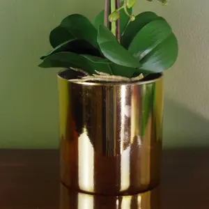 Artificial Orchid Large White Gold 52cm Botanik