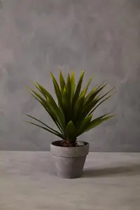 Fiori Agave Succulent Artificial Plant Foliage