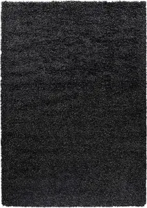 Modern Extra Large Small Soft Shaggy Non Slip Bedroom Living Room Carpet Runner Area Rug - Anthracite 60 x 110 cm