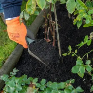 'Green Goodness' Peat Free Compost - 40L Bag - Environmentally Friendly Compost