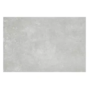 Zen Matt Grey Concrete Effect Porcelain Outdoor Tile - Pack of 1, 0.54m² - (L)900x(W)600