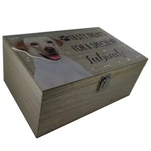 Labrador Dog Treat Box Delgado Decorative Box