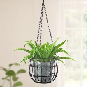 Black and Zinc Contemporary Hanging Indoor Garden Planter Outdoor Plant Pot Flower Pot