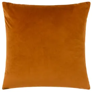 Paoletti Ledbury Velvet Jacquard Polyester Filled Cushion