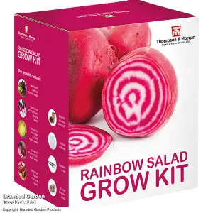 Gift Seed Grow Kit Rainbow Salad