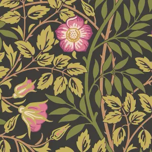 Hoopla Walls Rosehip Trail Aubergine Smooth Matt Wallpaper