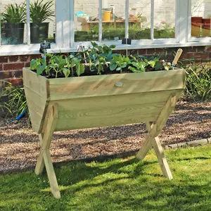 Zest Wooden Vegetable Raised Bed Planter Manger Garden 1m