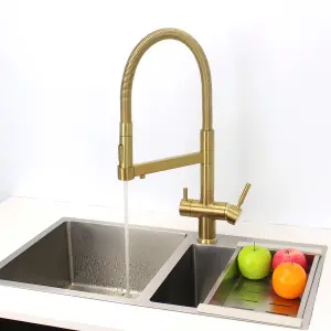 Hommix Savona Brushed Brass Pull-Out Spray-Hose 3-Way Tap (Triflow Filter Tap)