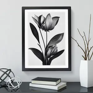 XV1022-2844X Monochrome Flower - Single Picture Frame Painting Black / 64cm H x 46cm W x 2cm D