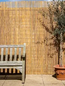 Bamboo Fencing Split Slat Screening Natural 3.0m x 1m Primrose