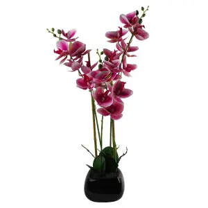 70cm Artificial Orchid Dark Pink with Black Ceramic Planter