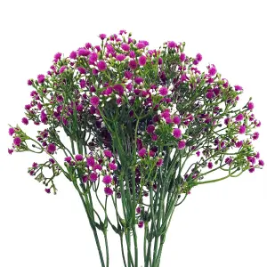 Pack of 6 x 55cm Gypsophila Pink Stem