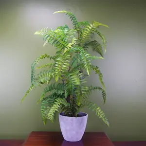 70cm Artificial Tree Fern with Decorative Planter