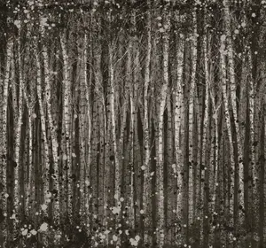 Art For the Home Painterly Woods Charcoal Print To Order Fixed Size Mural