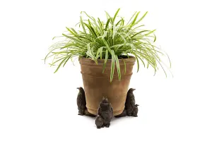 Emperor Penguin Plant Pot Feet - Set of 3 - L9.3 x W6 x H11.2 cm