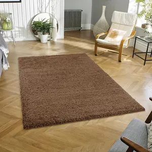 Wadan 60x110cm Mocha Shaggy Rug - Rectangular Soft Touch Thick Pile Modern Area Rug - Rugs for Living & Bedroom Non Shedding