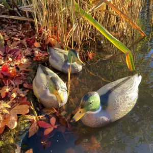 Mallard Duck Hunting Shooting Floating Decoy Pond Decoration Large